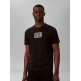 CAMISETA HOMBRE  CALVIN KLEIN M SS 30S EU BOXED CALVIN GRAPH