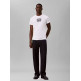 CAMISETA HOMBRE  CALVIN KLEIN M SS 30S EU BOXED CALVIN GRAPH
