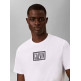 CAMISETA HOMBRE  CALVIN KLEIN M SS 30S EU BOXED CALVIN GRAPH