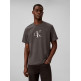 CAMISETA HOMBRE  CALVIN KLEIN SS 20S EZ DISTRESSD MNLGO GRAP