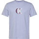 CAMISETA HOMBRE  CALVIN KLEIN M SS 30S WHSL CKJ 2TONE CK GRA