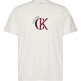 CAMISETA HOMBRE  CALVIN KLEIN M SS 30S WHSL CKJ 2TONE CK GRA