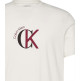 CAMISETA HOMBRE  CALVIN KLEIN M SS 30S WHSL CKJ 2TONE CK GRA