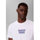 CAMISETA HOMBRE  CALVIN KLEIN M 30S EU WHOLESALE JEANS GRAPH