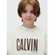 SUDADERA NIÑO  CALVIN KLEIN B CALVIN APPLIQUE CN SWEATSHIR