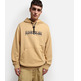 SUDADERA CON CAPUCHA HOMBRE NAPAPIJRI SELLA