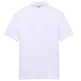 POLO HOMBRE  NAPAPIJRI ELBAS JERSEY 002 BRIGHT WHITE