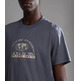 CAMISETA ESTAMPADA HOMBRE NAPAPIJRI MACAS