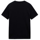 CAMISETA HOMBRE  NAPAPIJRI SALIS SS SUM