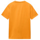 CAMISETA HOMBRE  NAPAPIJRI SALIS SS SUM A70 APRICOT A70