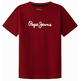 CAMISETA NIÑO  PEPE JEANS NEW ART