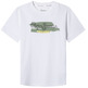 CAMISETA NIÑO  PEPE JEANS FELIX