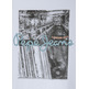 CAMISETA NIÑO  PEPE JEANS WILBERT