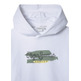 SUDADERA NIÑO  PEPE JEANS JEEL