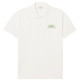 HOMBRE POLOS HOMME ADULTE MAILLE 70V