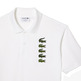 POLO HOMBRE  LACOSTE CHEMISE COL BORD-COTES MANCHES