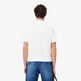 POLO HOMBRE LACOSTE CHEMISE COL BORD-COTES MANCHES