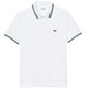 POLO HOMBRE LACOSTE CHEMISE COL BORD-COTES MANCHES