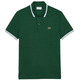 POLO HOMBRE LACOSTE CHEMISE COL BORD-COTES MANCHES