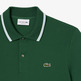 POLO HOMBRE LACOSTE CHEMISE COL BORD-COTES MANCHES
