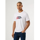 CAMISETA HOMBRE PEPE JEANS TREY TEE