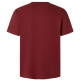 CAMISETA HOMBRE  PEPE JEANS EGGO N