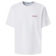 CAMISETA HOMBRE  PEPE JEANS CHELSEA BACK TEE