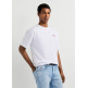 CAMISETA HOMBRE  PEPE JEANS CHELSEA BACK TEE