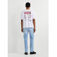 CAMISETA HOMBRE  PEPE JEANS CHELSEA BACK TEE