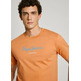 CAMISETA HOMBRE  PEPE JEANS EGGO N