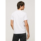 CAMISETA DE ALGODÓN ESTAMPADA HOMBRE PEPE JEANS SCOUT