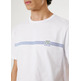CAMISETA HOMBRE  PEPE JEANS TAD TEE