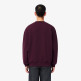 SUDADERA HOMBRE  LACOSTE SWEATS