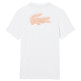 CAMISETA HOMBRE  LACOSTE TEE-SHIRTS COL ROULE HOMME ADU