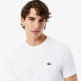 CAMISETA HOMBRE  LACOSTE TEE-SHIRTS COL ROULE HOMME ADU