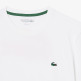 CAMISETA HOMBRE  LACOSTE TEE-SHIRTS COL ROULE HOMME ADU
