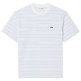 CAMISETA HOMBRE  LACOSTE TEE-SHIRTS COL ROND HOMME ADUL