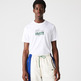 CAMISETA HOMBRE LACOSTE LOGO