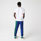 CAMISETA HOMBRE LACOSTE LOGO