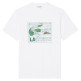 CAMISETA HOMBRE  LACOSTE TEE-SHIRTS COL ROND HOMME ADUL