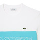 CAMISETA CON ESTAMPADO COLORBLOCK HOMBRE LACOSTE