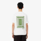 CAMISETA HOMBRE  LACOSTE TEE-SHIRTS COL ROND HOMME ADUL