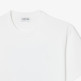 CAMISETA HOMBRE  LACOSTE TEE-SHIRTS COL ROND HOMME ADUL