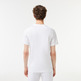 CAMISETA SPORT EN PUNTO DE ALGODÓN HOMBRE LACOSTE