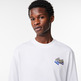 CAMISETA HOMBRE  LACOSTE TEE-SHIRT