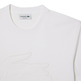 CAMISETA HOMBRE  LACOSTE TEE-SHIRT