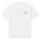 HOMBRE TEE-SHIRTS & COLS ROULES 001