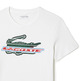 CAMISETA EN ALGODÓN ECOLÓGICO HOMBRE LACOSTE