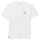 CAMISETA HOMBRE  LACOSTE TEE-SHIRT