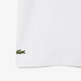CAMISETA HOMBRE  LACOSTE TEE-SHIRT